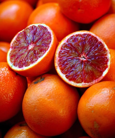 Blood Orange Aesthetic, Red Fruits Aesthetic, Orange Fruit Aesthetic, Orange Aesthetic Fruit, Orange Reference Photo Fruit, Orange Fruit Photo, Orange Candle, Orange Salad, Fruit Wallpaper