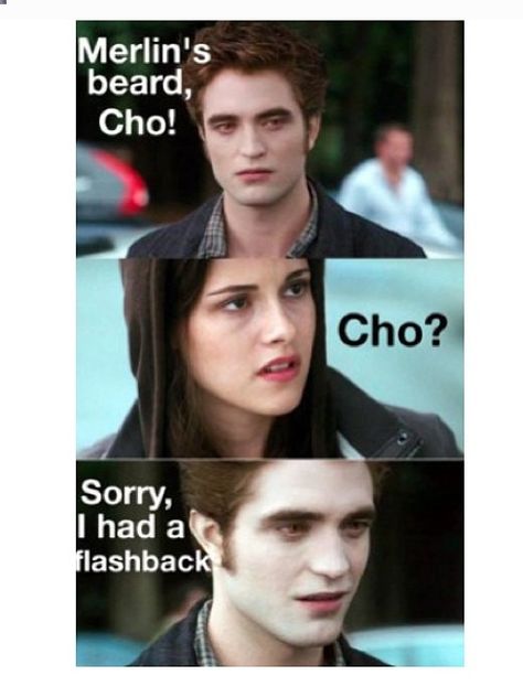 Hahaha Edward/ Cedric Twilight Harry Potter, Harry Potter Vs Twilight, Harry Potter Twilight, Twilight Jokes, House Quiz, Glume Harry Potter, Potter House, Twilight Funny, Twilight Memes