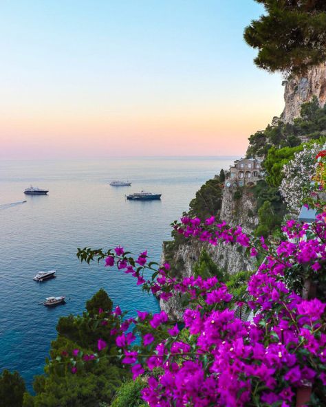 Get Paid To Travel, Paid To Travel, Capri Italy, Wallpaper Nature Flowers, Beautiful Places To Travel, Beautiful Places To Visit, Dream Destinations, Amazing Destinations, Nature Travel