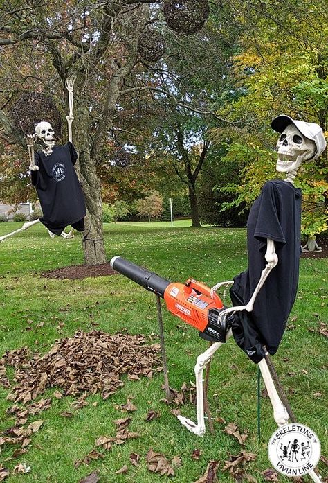 Ideas For Skeletons, Skeletons Doing Yard Work, Poseable Skeleton Ideas Funny, Skeleton Memes Hilarious, Yard Skeleton Ideas Funny, Skeleton Funny Poses, Halloween Decorations Front Yard, Skeleton Yard Scenes Funny, Yard Skeleton Ideas