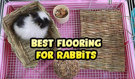 Best Flooring for Rabbits Rabbit Flooring Ideas, Bunny Sheds, Diy Rabbit Cage, Rabbit Enclosure, Bunny Cage, Bunny Hutch, Shed Floor, Indoor Rabbit, Rabbit Cages