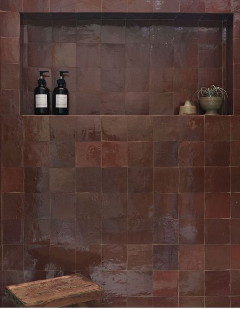 Burgundy Shower Tile, Bathroom Interior Inspiration, Brown Accent Bathroom, Black Neutral Bathroom, Moody Rustic Bathroom, Moody Eclectic Bathroom, Colored Tile Bathroom, Moody Small Bathroom, Bathroom Dark Wood