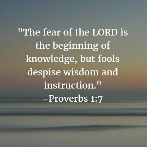 Proverbs 1:7 Wisdom, Fear The Lord Scriptures, Bible Proverbs Wisdom, The Fear Of The Lord Is The Beginning, Proverbs 1 7, Proverbs Verses, Proverbs 1, The Fear Of The Lord, Bible Proverbs