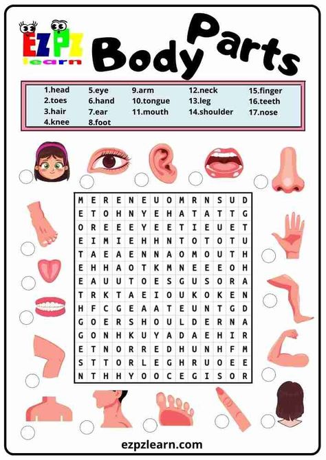 More fun with your teaching with Free Printable Word Search English Game Worksheet topic Body Parts worksheets for ESL teachers using for kindergarten, preschool and so on you can either download or print directly from our website. English Crosswords Worksheets, English Puzzles Worksheets, Wordsearches For Kids, Crosswords For Kids, Body Parts Worksheet, Game Worksheet, Word Puzzles For Kids, Word Search For Kids, Word Games For Kids