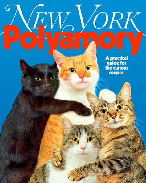 Meet a Polycule: What It’s Like to Be Polyamorous in 2024 New York Shopping, New York January, Polyamorous Relationship, Louis Kahn, Natasha Lyonne, Wonder Boys, Escape Plan, New York Magazine, East Village