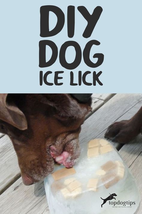 If the summer heat has got your dog down, making him a DIY dog ice lick could help him cool off. They are simple to make and 100% free! Dogs Diy Projects, Dog Diy, Dog Furniture, Diy Dog, Iced Drinks, Diy Dog Stuff, Summer Heat, Hot Summer, For Dogs