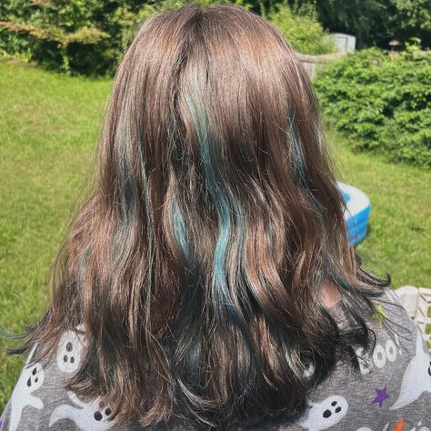 fourth client is ms. emma!! new look for back to school with some beautiful blue bits. had so much fun doing this look & working with a client with such thick hair. didn’t take b4 pics so there’s a few pics at the end with the bleach chunks for the blue! she chose the colors & i made it happen <3 #bluehair #bluehairdontcare #dyedhair #coloredhighlights #backtoschool #littlecousin Blue Ends Hair Brown, Teen Hairstyles, Colored Highlights, Blue Hair, Brown Hair, Dyed Hair, Thick Hair Styles, Color Me, New Look