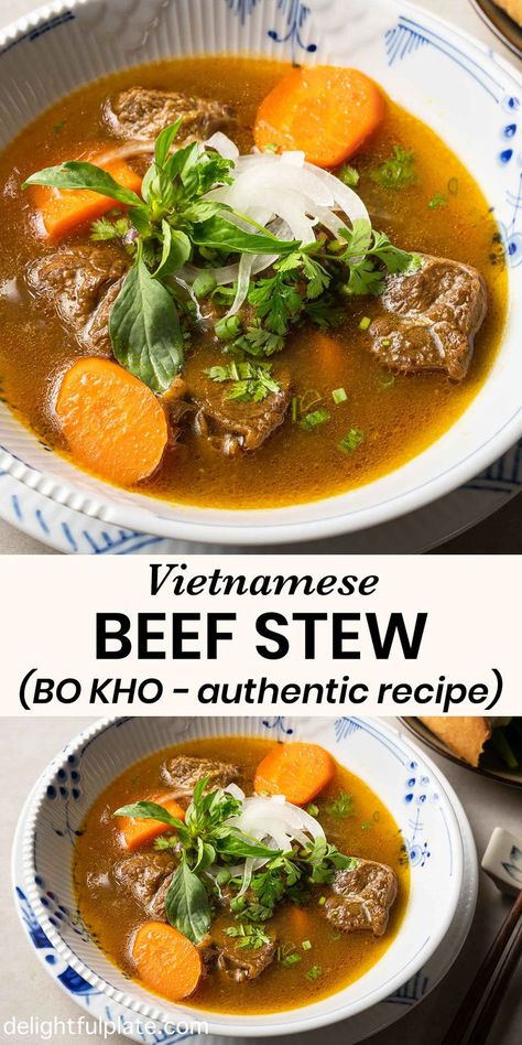 a bowl of Vietnamese lemongrass beef stew Bo Kho, Vietnamese Beef Stew, Yummy Asian Food, Vietnamese Beef, Asian Noodle Dishes, Asian Side Dishes, Mongolian Beef Recipes, Fermentation Recipes, Asian Inspired Dishes