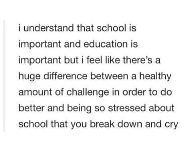 Words Right Out Of My Mouth School Sucks, I Hate School, Hate School, Izu, School System, Reality Check, When You Know, I Can Relate, New Things