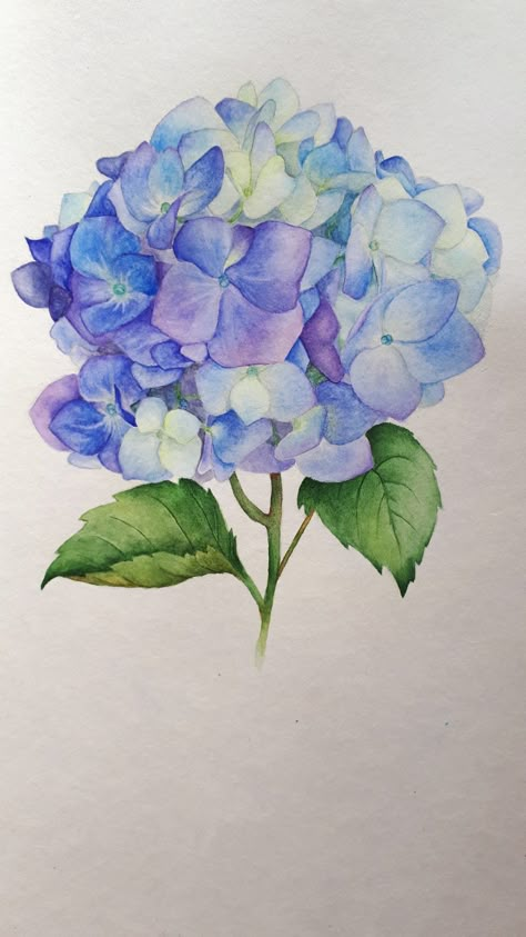 Hydrangea Watercolor, Hydrangeas Art, Watercolor Hydrangea, Hydrangea Painting, On Tattoo, Watercolor Flowers Tutorial, Diy Watercolor Painting, Watercolor Flower Art, Watercolor Painting Techniques