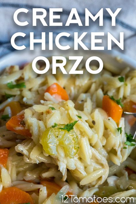 Crockpot Chicken And Orzo Recipes, Chicken Orzo Recipes Crockpot, Chicken Orzo Soup Crockpot, Chicken Noodle Soup With Orzo Pasta, Crockpot Creamy Marry Me Chicken Orzo, Chicken Orzo Bowl, Creamy Chicken And Orzo, Chicken Orzo Crockpot Recipes, Orzo Crockpot Recipes