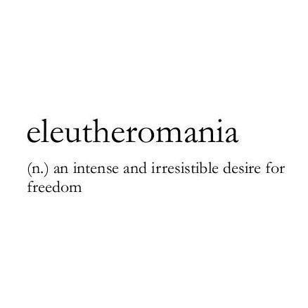 Definition Of Words Aesthetic, Eleutheromania Tattoo, Heliophilia Tattoo, Words For Freedom, Unique Words With Deep Meaning, Freedom Word, Freedom Aesthetic, Phobia Words, Freedom Meaning