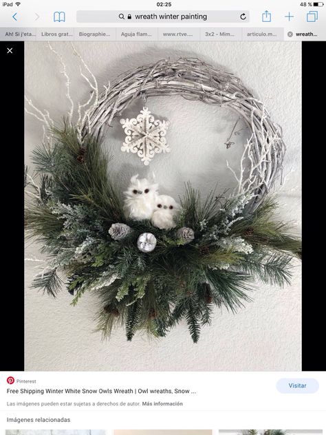 Snow Owls, White Grapevine Wreath, Sitting Side By Side, Large Fairy Garden, Grapevine Christmas, Winter Wreath Diy, Owl Wreaths, Artificial Snow, Snow Owl