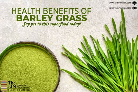 While a healthy diet & regular exercise are critical for successfully losing weight, barley grass can be a helping hand for you. One study found that when rats were fed barley grass powder for a period of three weeks, it suppressed their weight gain significantly as compared to the control group which had the same diet. So make barley grass a part of your weight-loss program and watch those pounds melt away.  Courtesy: #The_Line_Plastic_Surgery_Clinic Barley Health Benefits, Barley Grass Powder, Barley Benefits, Barley Grass, Helping Hand, Helping Hands, Regular Exercise, Losing Weight, Barley