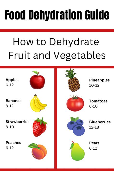 Learn how to dehydrate fruit and vegetables with this food dehydration guide. Get tips for drying food and recipes for your food dehydrator. Best Dehydrator Recipes, Food Dehydrator Recipes, Dehydrating Food Storage, Specific Carbohydrate Diet Recipes, Food Dehydration, Dehydrating Food, Dehydrated Foods, Dehydrated Vegetables, Specific Carbohydrate Diet