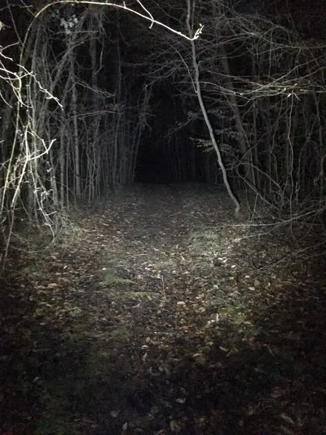 Like a scene out of slenderman - 9GAG Weird Core Forest, Gloomy Small Town With A Secret, Survival Horror Aesthetic, Liminal Forest, Scary Forest Aesthetic, Slenderverse Aesthetic, Marble Hornets Aesthetic, Five Survive Aesthetic, Survive Aesthetic