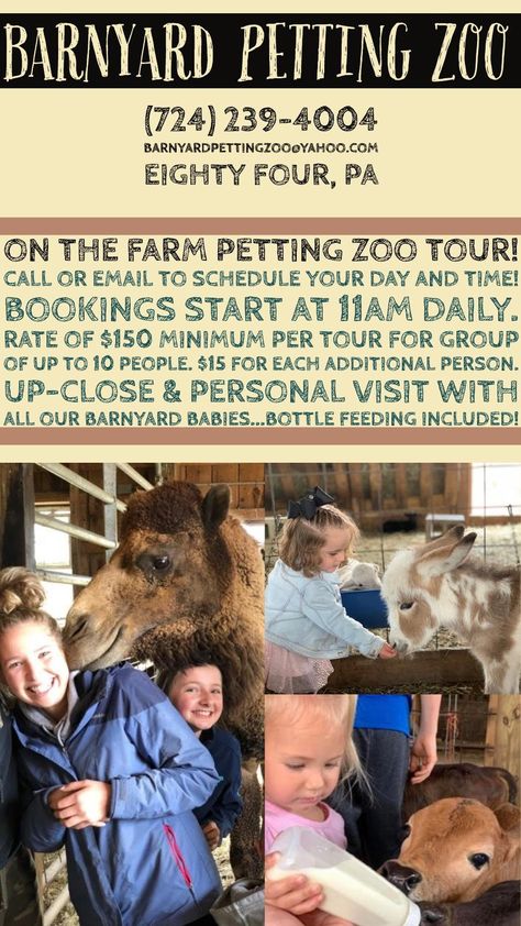 Petting Zoo Ideas, Petting Zoo Farm, Petting Zoo Birthday, Petting Zoo Party, Fall On The Farm, Open Air Market, Petting Farm, Farm Animals Activities, Farm Pond