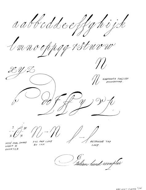 Italian Roundhand Exemplar by Hoang Dao  X-height: 7mm (5/16 inches)   Ink: Higgins Eternal  Paper: Rhodia  Nib: Leonardt EF Principal Italian Roundhand, Italian Alphabet, Calligraphy Printables, Calligraphy Worksheet, Calligraphy Script Fonts, Hand Calligraphy, Copperplate Calligraphy, Calligraphy For Beginners, Hand Lettering Alphabet