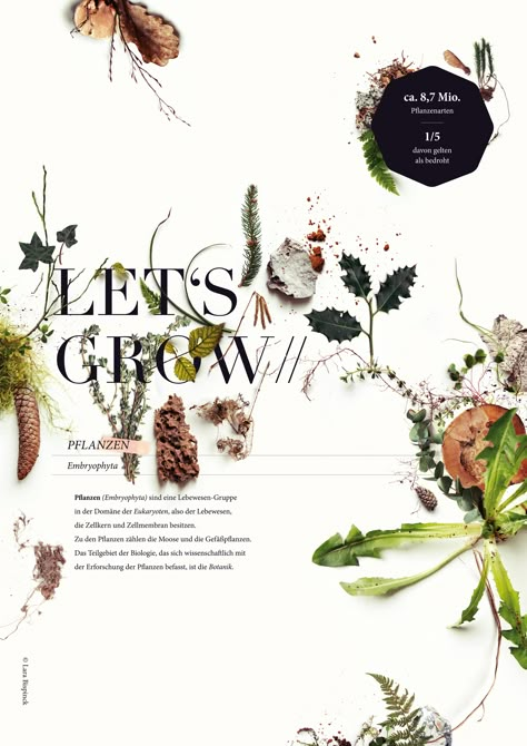 Posters Typography, Book Content, Typography Posters, Trendy Plants, Graphic Design Images, Graphisches Design, Plant Photography, Grafic Design, Botanical Poster