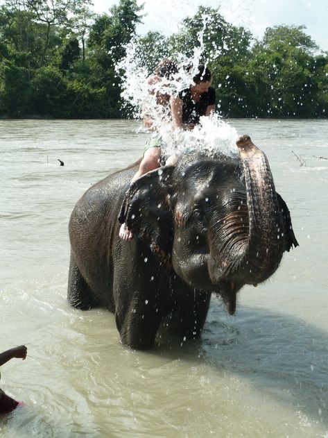 Riding Elephants, Chitwan National Park, Jungle Island, Inspirational Life Photos, The Jungle Book, Nepal Travel, Canoe Trip, Rhinos, After 3