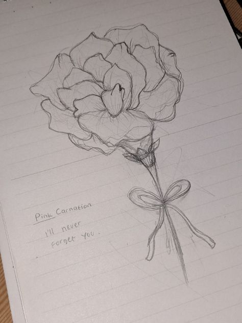 Carnation Flower Sketch, Carnation Flower Drawing Step By Step, Carnations Drawing, Carnation Sketch, Carnation Flower Drawing, Carnation Drawing, Purple Carnations, Yellow Carnations, Random Sketches