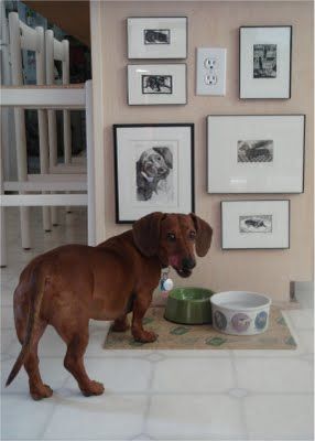 Ha! We have pictures hanging for our wiener dog too. Crafty Mom, Dog Area, Happy Go Lucky, Puppy Training Tips, Weenie Dogs, Dachshund Love, Dog Rescue, Dog Bowl, Weiner Dog