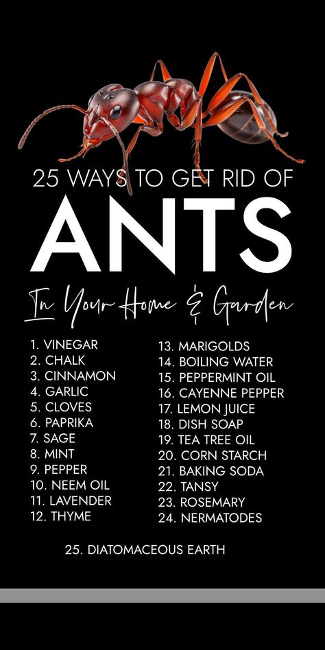 25 natural ways to get rid of ants in your home and garden using kitchen ingredients you already have in your cupboard. Include quick homemade ant repellents and ant killer powder. Ant Killer Recipe, Homemade Ant Killer, Ant Spray, Ant Repellent, Bug Spray Recipe, Ant Insect, Kill Ants, Rid Of Ants, Ant Killer