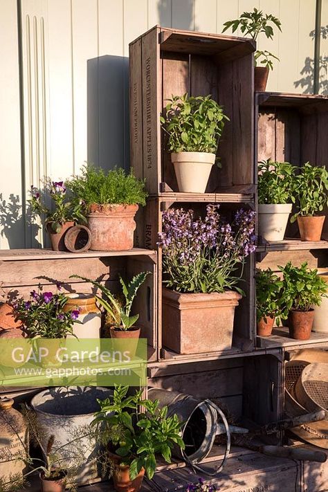 Displaying Pots In Garden, Apple Crate Garden Ideas, Terracotta Pots Garden Display, Apple Crates Garden, Terracotta Pot Display, Terracotta Herb Garden, Outdoor Upcycled Ideas, Garden Pot Display Ideas, Apple Crate Ideas