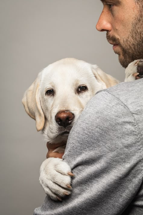 Portrait With Dog, Pet Photography Studio, Animal Photoshoot, Foto Top, Photos With Dog, Dog Poses, Dog Best Friend, Dog Photoshoot, Me And My Dog