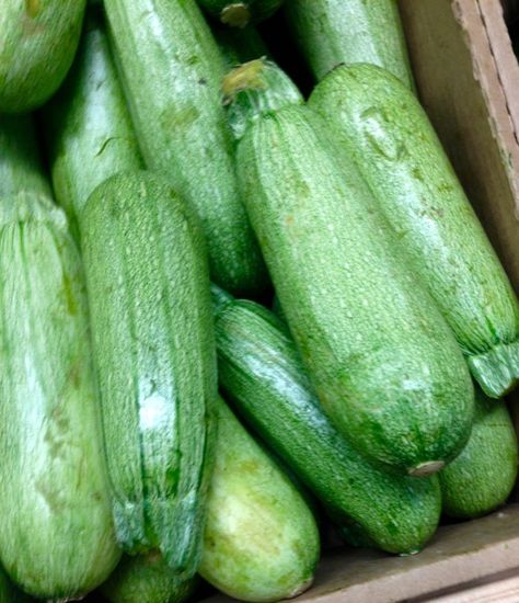 Grey Zucchini myfavouritepastime.com Grey Squash, Cheese And Chive Scones, Flatbread Toppings, Morning Rolls, Southern Buttermilk Biscuits, Green Zucchini, Dutch Oven Bread, Homemade Scones, Cheese Scones