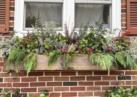 Beautiful Budget-Friendly Winter Window Box Window Boxes Christmas Ideas, Winter Window Box Ideas, Simple Christmas Ideas, Winter Window Boxes, Fall Window Boxes, Window Box Ideas, Christmas Minimalist, Frugal Christmas, Dried Hydrangeas