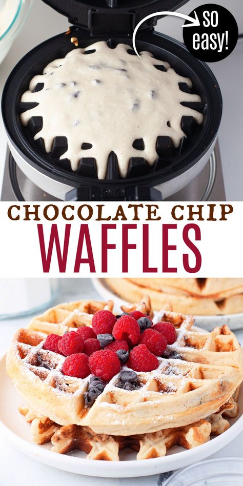 Choc Chip Waffles, Chocolate Chip Waffles Recipe, Chocolate Chip Waffle Recipe, Chocolate Chip Waffle, Cinnamon Roll Pancakes Recipe, Chocolate Chip Waffles, Waffle Ingredients, Waffle Maker Recipes, How To Make Waffles