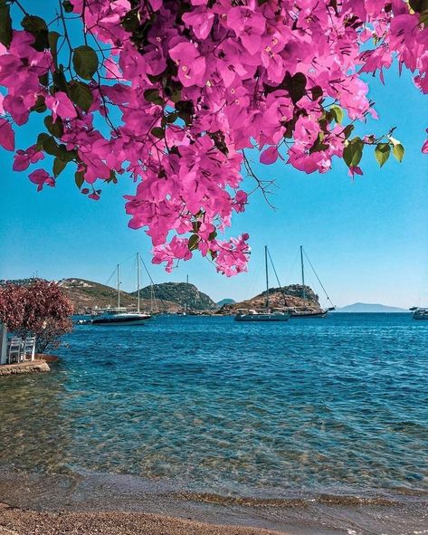 Turkey Asethic, Bodrum Turkey Photography, Bodrum Turkey Aesthetic, Turkey Summer Aesthetic, Turkey Bodrum, Bodrum Aesthetic, Turkey Aesthetic, Arabian Nights Aesthetic, Turkey Pics