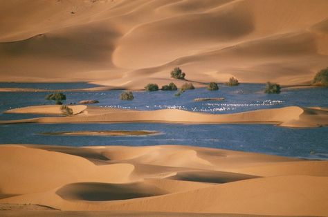 Desert Structure, Oasis In Desert, Desert Culture, Desert River, Oman Air, Water Spells, Desert Artwork, Oasis In The Desert, Worship Backgrounds