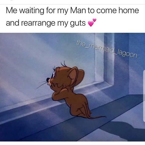 When I get a man, imma be waiting at the door 😂😂😂 Desenho Tom E Jerry, Tom And Jerry Pictures, Tom And Jerry Wallpapers, Tom Et Jerry, Tom And Jerry Cartoon, Cute Love Memes, Cartoon Profile Pictures, Cartoon Memes, Cartoon Quotes