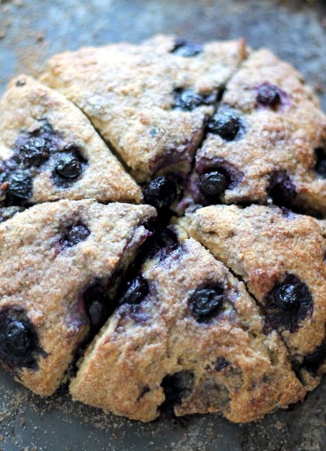 Greek Yogurt Scones, Yogurt Scones, Healthy Scones, Ambitious Kitchen, Healthy Blueberry, Blueberry Scones, S'mores, Scone Recipe, Healthy Sweets