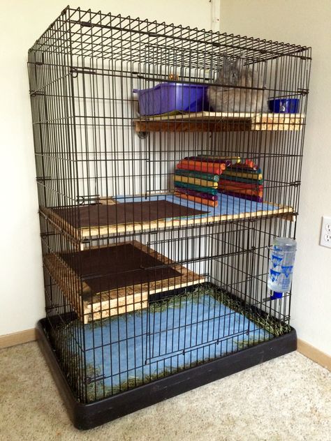 DIY Rabbit cage out of dog kennel Xl Dog Crate, Small Dog Cage, Bunny Pets, Indoor Rabbit House, Dog Boredom Buster, Diy Rabbit Cage, Dog Boredom, Hutch Ideas, Small Dog Crate