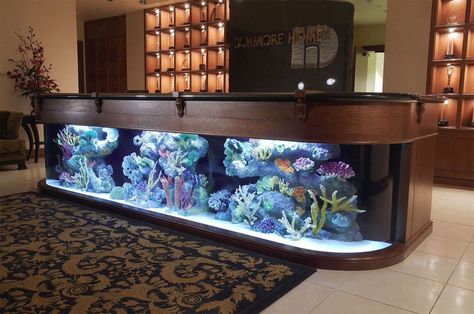 Hours of Entertainment for Dru is listed (or ranked) 6 on the list 31 Incredibly Creative Aquariums You Need to See Dnevni Boravak, Wall Aquarium, Amazing Aquariums, Cool Fish Tanks, Aquarium Terrarium, Salt Water Fish, Cool Fish, Home Aquarium, Saltwater Tank