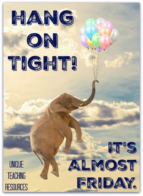 Funny Thursday Quote: Hang on tight it's almost Friday. Funny Thursday Quotes, Motivational Quotes For Work, Thursday Humor, Quotes For Work, Happy Thursday Quotes, Team Quotes, Work Funny, Thursday Quotes, Friday Quotes Funny