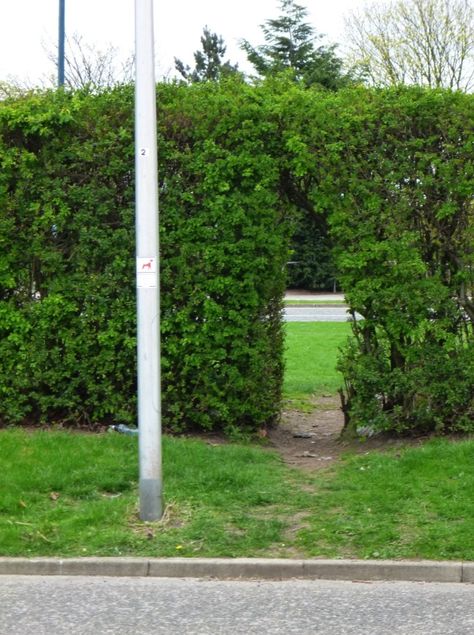 otheraberdeen: desire lines: incipient, thriving, extant, extinguished. Desire Paths, Desired Path, Path Photography, Urban Landscaping, Walking Road, Richard Long, Gcse Art, Urban Planning, Land Art