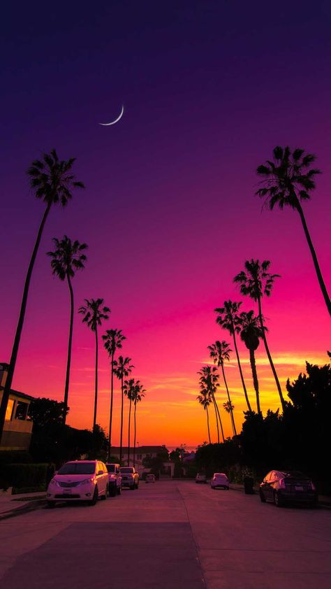 California Wallpaper, California Street, Wallpaper Macbook, Sunset Wallpaper, Palm Tree, Macbook, California