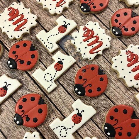 Love this first birthday set! 🐞🐞🐞. . . #happybirthday #happyfirstbirthday #birthdayparty #ladybug #ladybugs #polkadots #monograms… Ladybug First Birthday Party Ideas, Ladybug Theme First Birthday, Love Bug Themed Birthday Party, Lovebug Birthday Party, Ladybug Theme Party 1st Birthdays, Love Bug First Birthday, Lady Bug First Birthday Ideas, Ladybug Themed Birthday, 1st Birthday Ladybug Theme