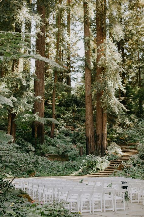 Redwood Wedding California, Forest Wedding Venues, Outdoor Wedding Venues California, Wedding Venue Rustic, Nestldown Wedding, Redwoods Wedding, Forest Wedding Venue, Northern California Wedding Venues, Redwood Wedding