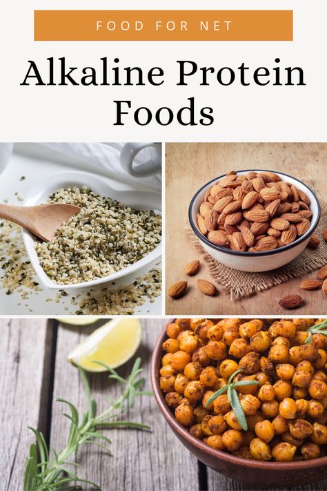 Alkaline Protein Sources, Alkaline Food Recipes, Foods High In Alkaline, Alkaline Protein, Lysine Rich Foods, Lysine Foods, High Alkaline Diet, Alkaline Fruits And Vegetables, Alkaline Snacks