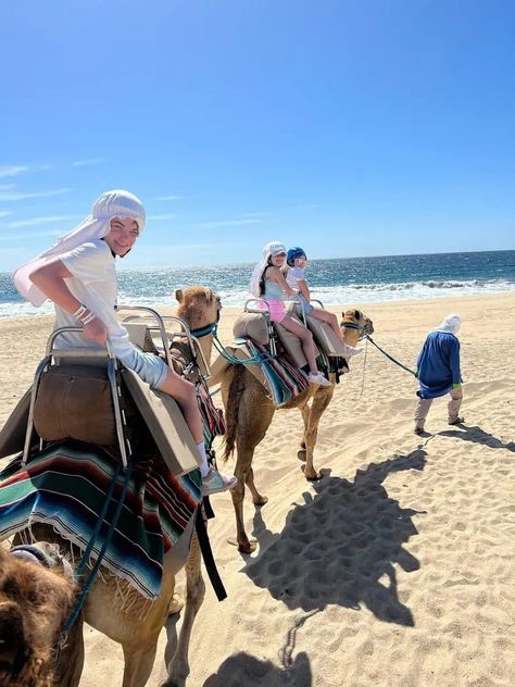 Visit here to check out Adventures In Los Cabos, Mexico on Stroller in the City! If you are looking for Los Cabos travel tips, then this is the blog post for you! Get inspired to try out Cabo Adventures in Marina Cabo San Lucas. You will love these Los Cabos activities this blog post has to offer as well. Be sure to try out horseback riding in San Jose del Cabo Estuary. There is nothing better than traveling with your family. Mango Deck Cabo San Lucas, Cabos San Lucas, Cabo Mexico, Honey Moon, Traveling Abroad, San Jose Del Cabo, Beach Adventure, Family Friendly Activities, Beach Getaways