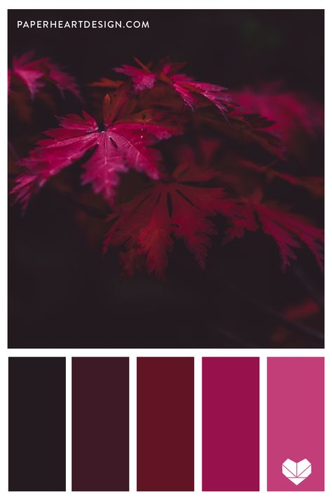 Purple And Red Color Scheme, Color Palette Wine Red, Red Violet Color Palette, Red Color Schemes Colour Palettes, Colours That Go With Red, Wine Red Color Palette, Wine Colour Palette, Red Purple Color Palette, Red Wine Color Palette