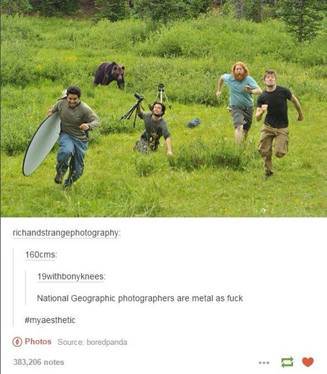 Funny Landscape Memes, Wildlife Photographers Funny, Nature Memes Funny, Hiking Meme, Dragon Age Funny, Goblincore Memes Funny, Dragon Age Memes, Artemis Fowl, Dragon Age 3