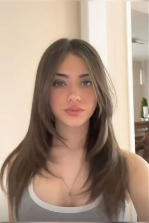 Long V Shaped Layered Hair Face Framing, Middle Haircut Straight, Straight Long Brown Hair With Curtain Bangs, Face Framed Hair Cut, Long Hair With Curtain Bangs No Layers, Layered Haircut On Straight Hair, Slight Side Bangs, Medium Length Haircut For Thick Hair Straight Brown, Straight Feathered Hair