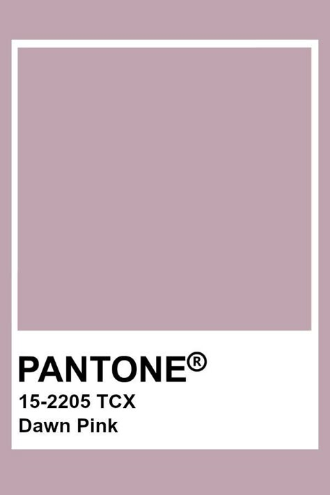 Pantone Dawn Pink Pink Pantone, Pantone Swatches, Pantone Palette, Pantone Colour Palettes, Pantone Colors, Color Inspo, Colour Board, Padded Bra, Colour Schemes