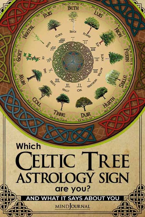 thoughtful Celtic Zodiac Signs, Celtic Tree Astrology, Spiritual Tree, 13th Zodiac Sign, Celtic Zodiac, Astrological Elements, Celtic Animals, Celtic Druids, Astrology Compatibility